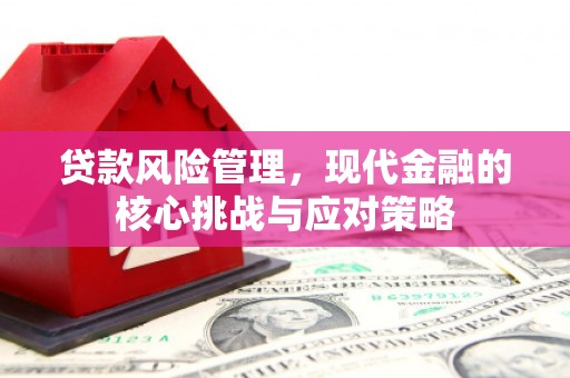 全南贷款风险管理，现代金融的核心挑战与应对策略