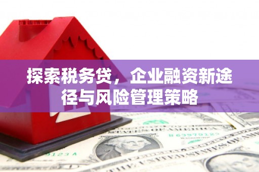 大埤探索税务贷，企业融资新途径与风险管理策略
