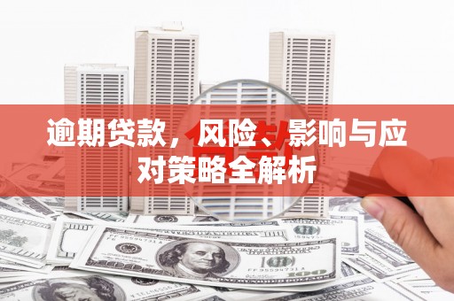 翔安逾期贷款，风险、影响与应对策略全解析