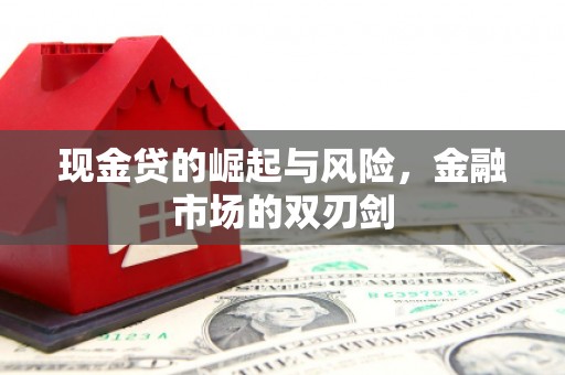 漳州现金贷的崛起与风险，金融市场的双刃剑