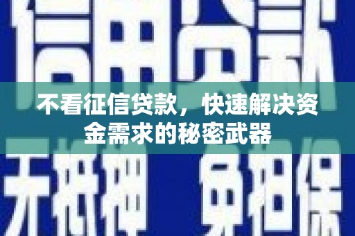 蓝田不看征信贷款，快速解决资金需求的秘密武器