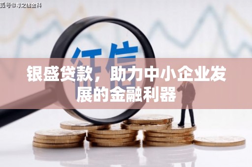 洪湖银盛贷款，助力中小企业发展的金融利器