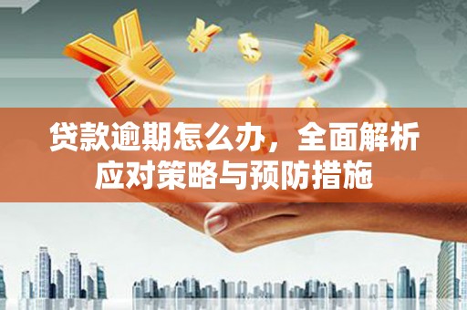 阳明贷款逾期怎么办，全面解析应对策略与预防措施