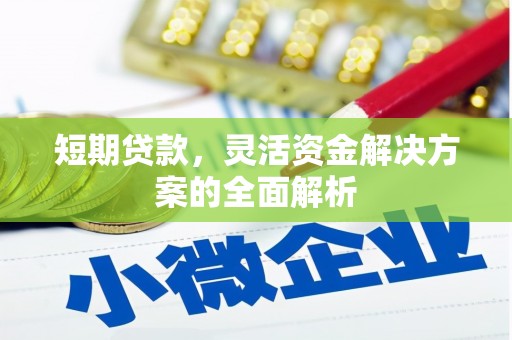 田中短期贷款，灵活资金解决方案的全面解析