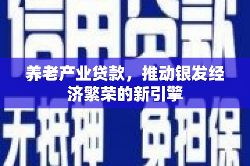 中宁养老产业贷款，推动银发经济繁荣的新引擎
