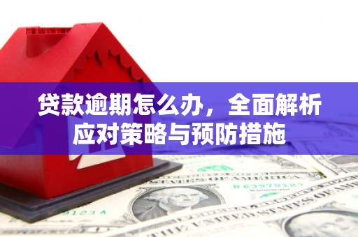 武江贷款逾期怎么办，全面解析应对策略与预防措施