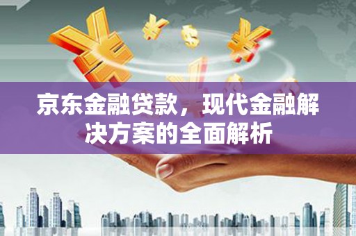 聂荣京东金融贷款，现代金融解决方案的全面解析