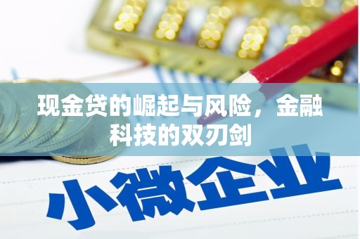 水林现金贷的崛起与风险，金融科技的双刃剑