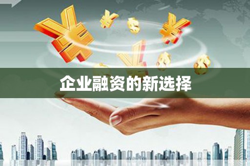 靖西企业融资的新选择