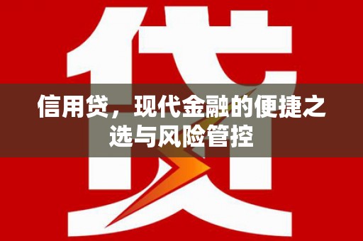 丰顺信用贷，现代金融的便捷之选与风险管控