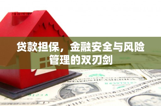 海晏贷款担保，金融安全与风险管理的双刃剑