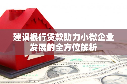 新北建设银行贷款助力小微企业发展的全方位解析