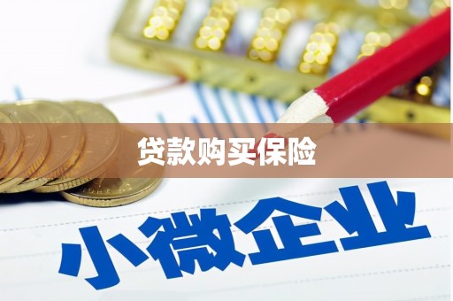 资溪贷款购买保险