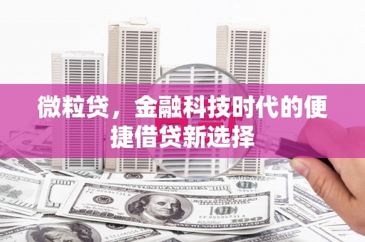 友好微粒贷，金融科技时代的便捷借贷新选择
