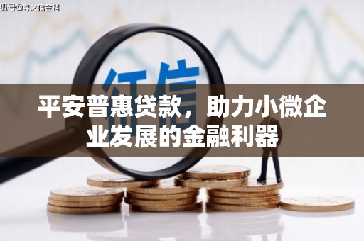 竹溪平安普惠贷款，助力小微企业发展的金融利器