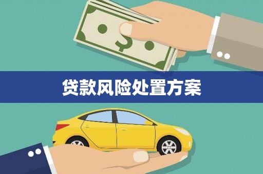 燕巢贷款风险处置方案