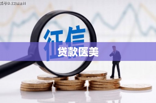 通山贷款医美