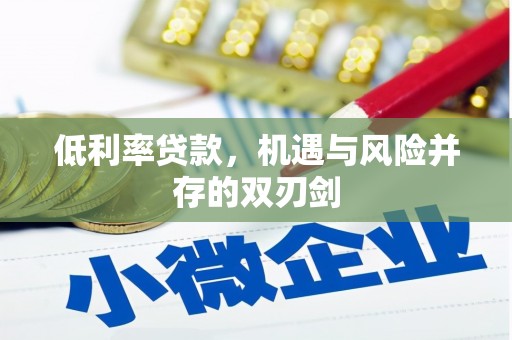 西吉低利率贷款，机遇与风险并存的双刃剑