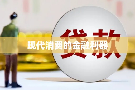 安南现代消费的金融利器