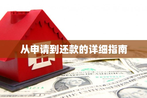 广水从申请到还款的详细指南