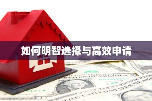 洪洞如何明智选择与高效申请
