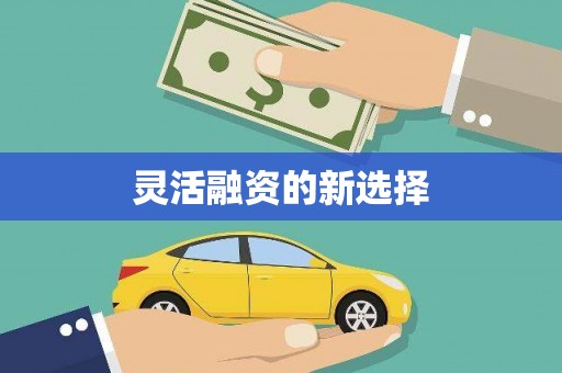 正宁灵活融资的新选择
