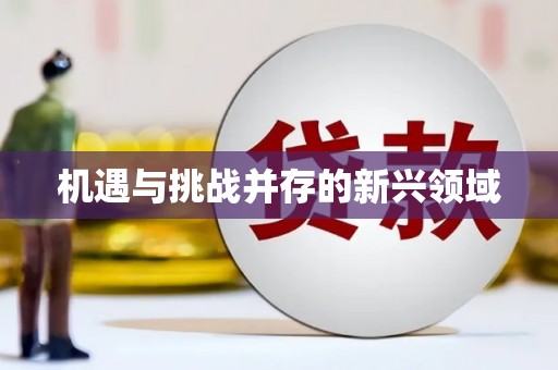 铁山机遇与挑战并存的新兴领域