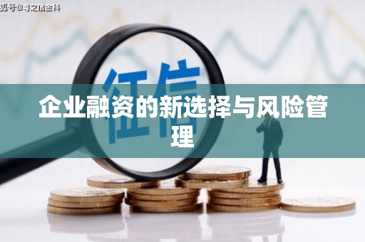 黔西南企业融资的新选择与风险管理