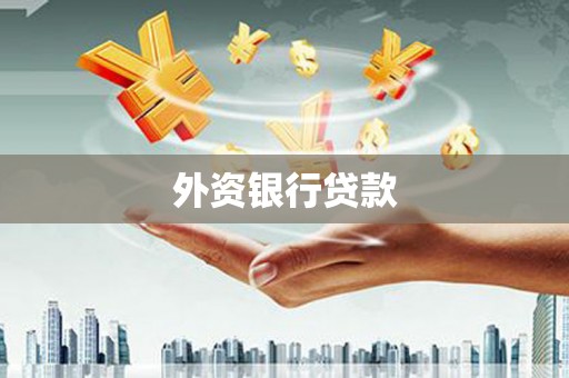 岱岳外资银行贷款
