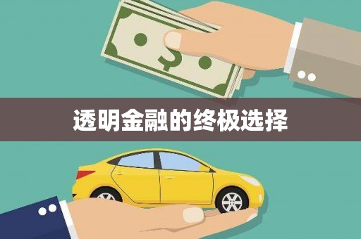 桃江透明金融的终极选择