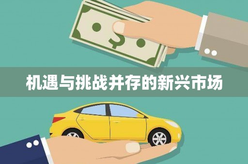 威远机遇与挑战并存的新兴市场