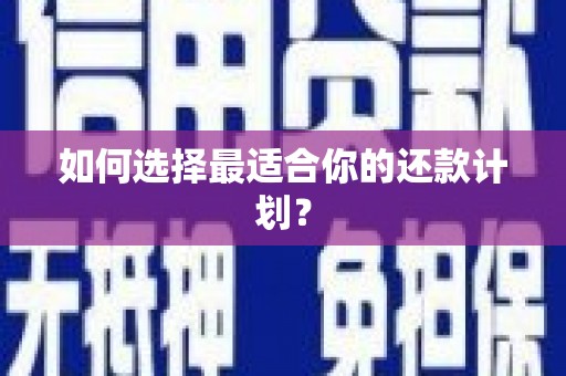 大宁如何选择最适合你的还款计划？
