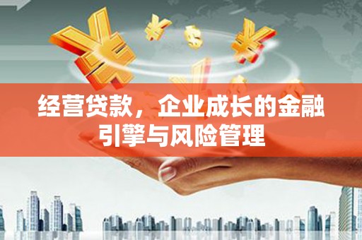 禄丰经营贷款，企业成长的金融引擎与风险管理