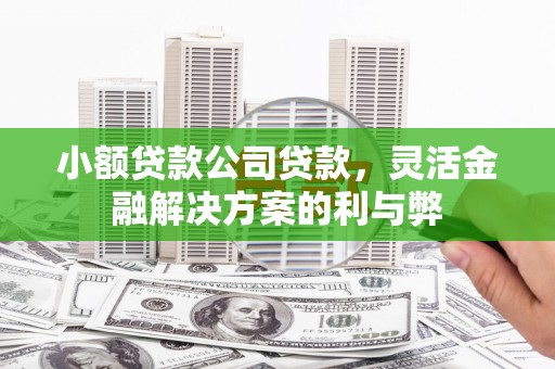 双清小额贷款公司贷款，灵活金融解决方案的利与弊
