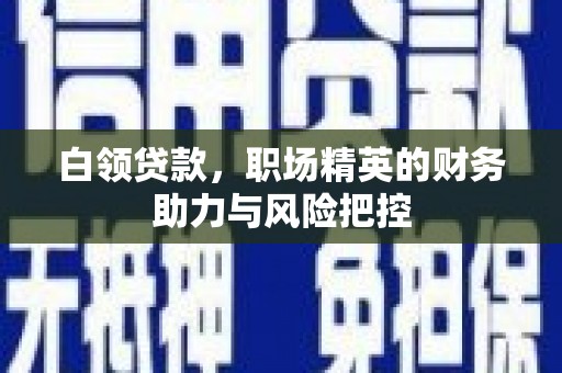 颍泉白领贷款,职场精英的财务助力与风险把控 颍泉白领贷款,职场精英的财务助力与风险把控