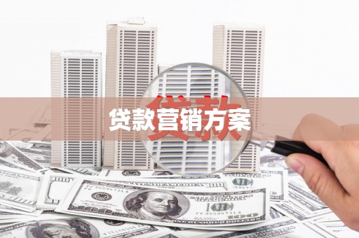 勐海贷款营销方案